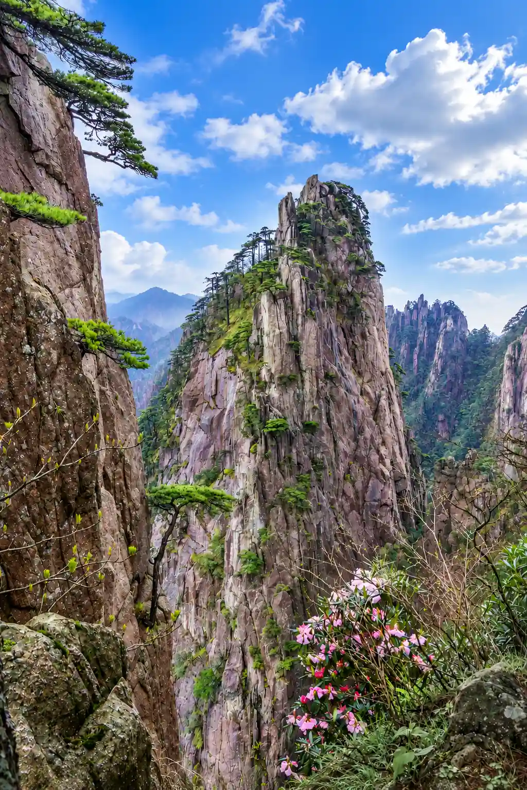 Granite peaks and pine-covered slopes on Mount Huangshan in spring