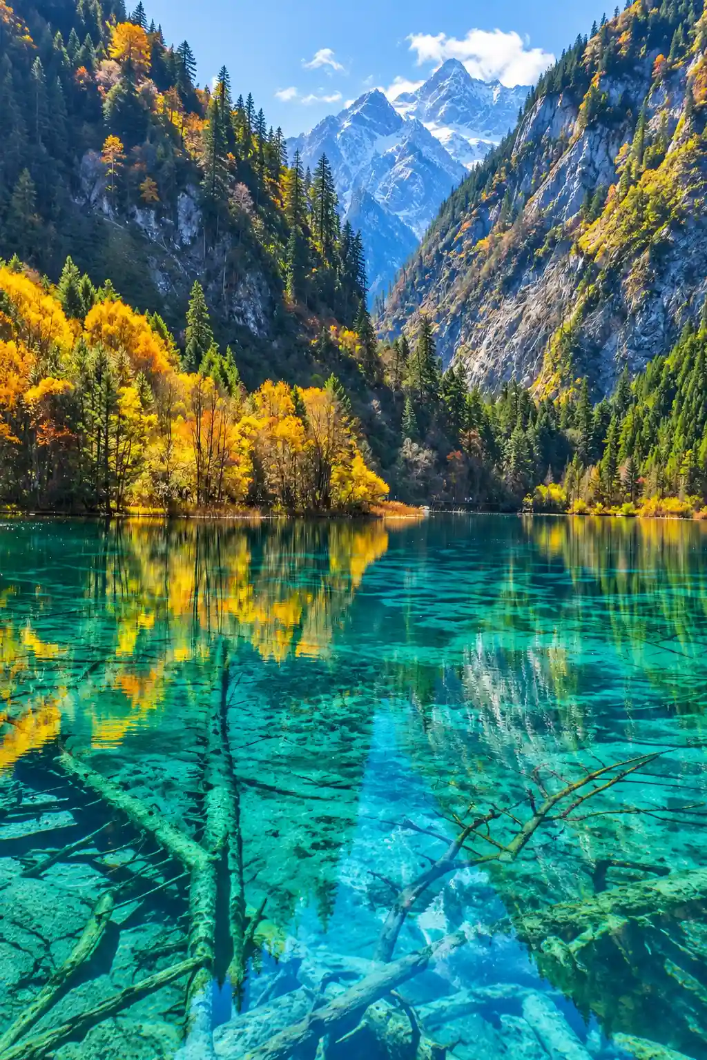 Colorful autumn forests beside turquoise lakes in Jiuzhaigou