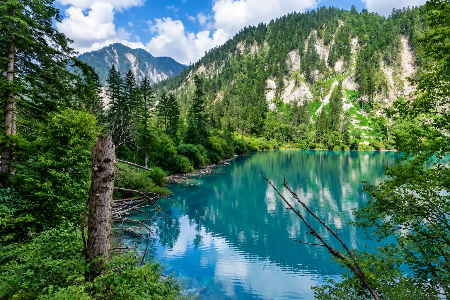 Panda Lake in Rize Valley, Jiuzhaigou National Park