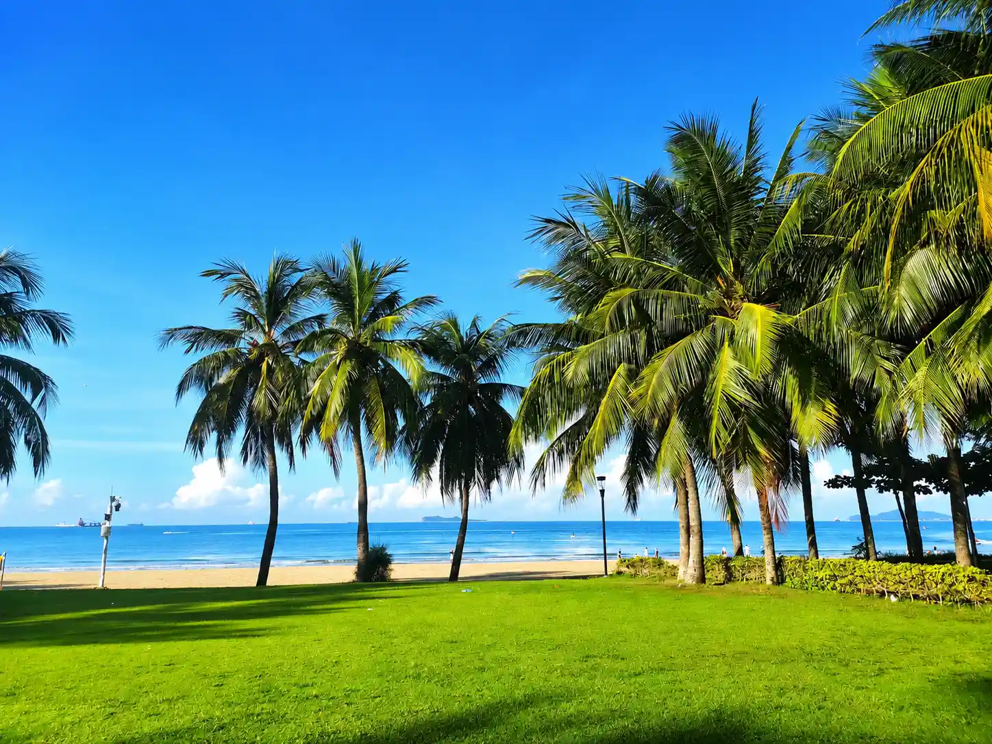 Tropical beach and palm trees in Sanya, Hainan