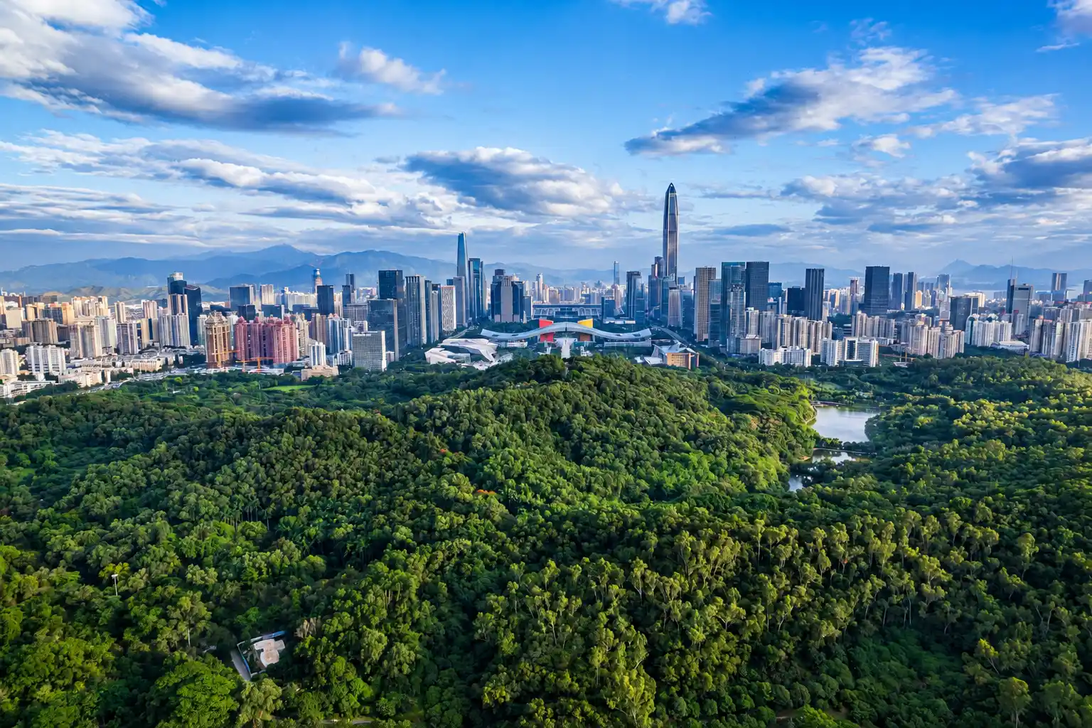 Shenzhen Futian Skyline and Green Park