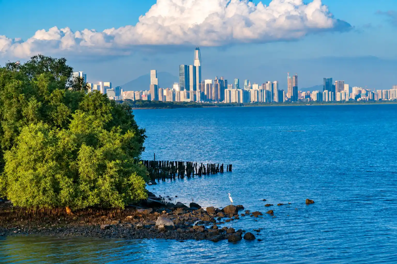 Shenzhen Skyline Across the Bay
