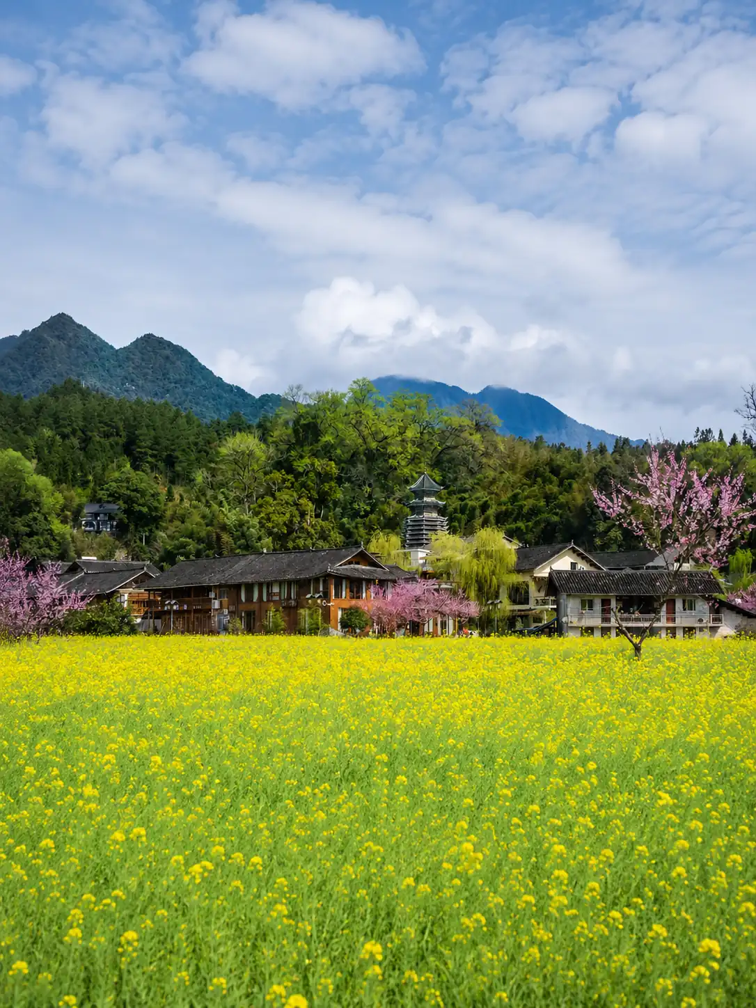 Village surrounded by rapeseed flowers in Guizhou during spring