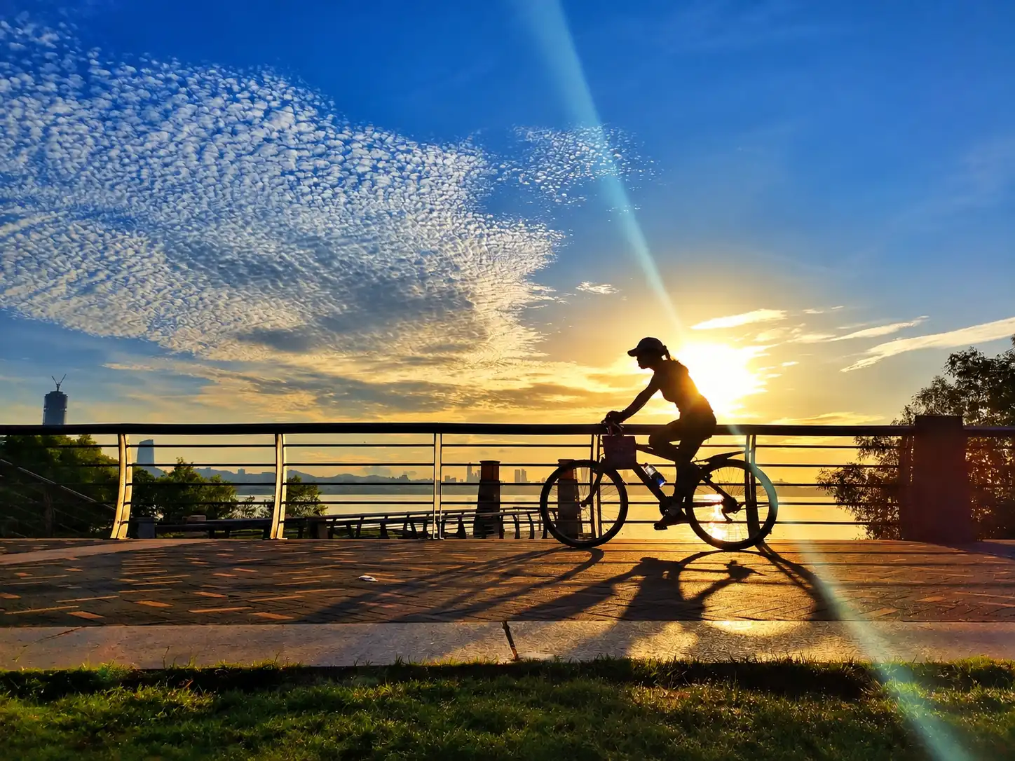Cycling along Shenzhen Bay waterfront