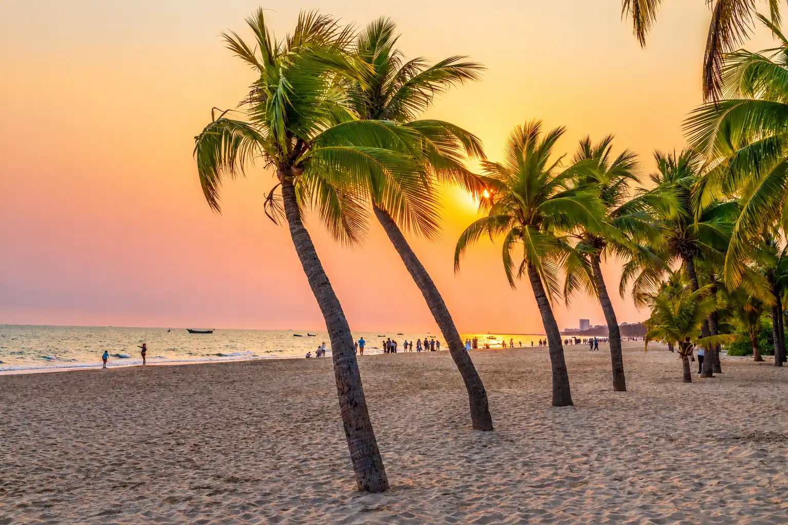 Sanya Bay coastline and Coconut Dream Corridor in Sanya, Hainan
