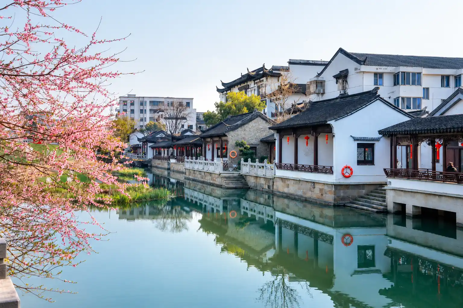 Suzhou Canal with Blossoming Trees and Traditional Houses
