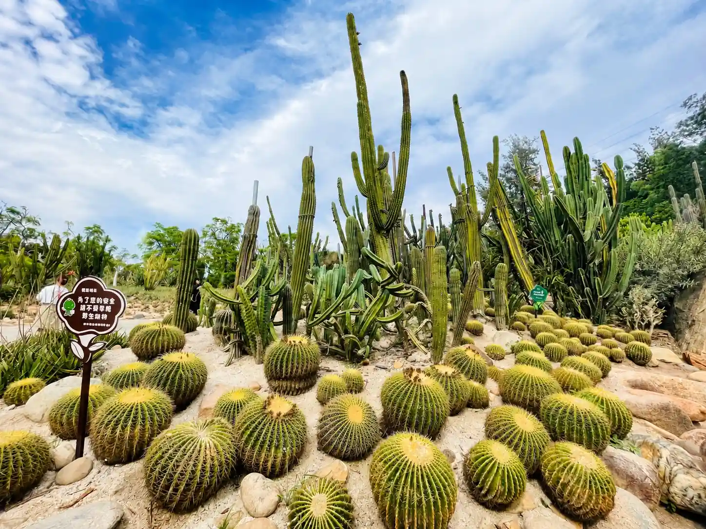 Xiamen Botanical Garden tropical plants and mountain scenery