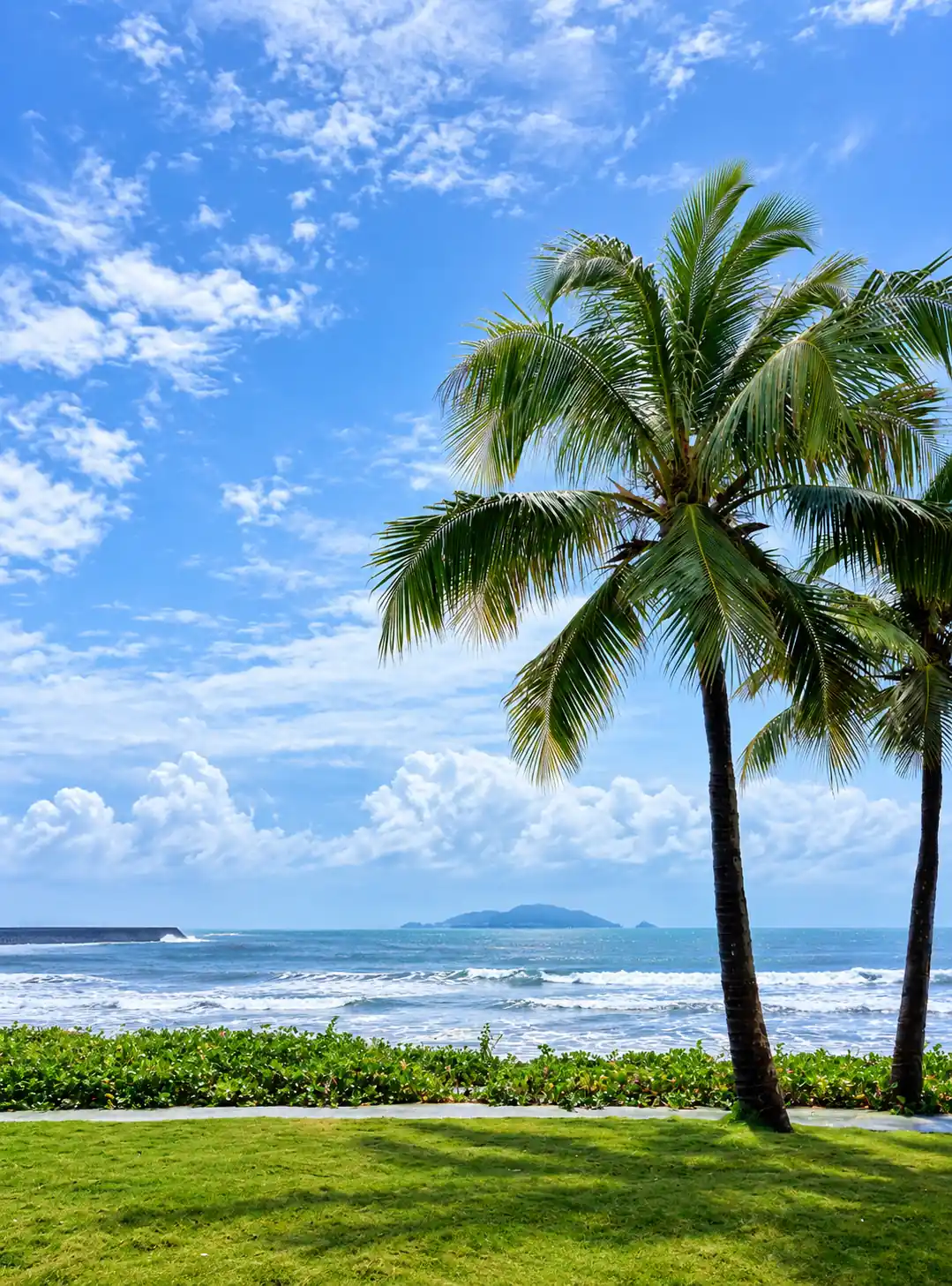 Tropical palm-lined coast in Sanya during summer