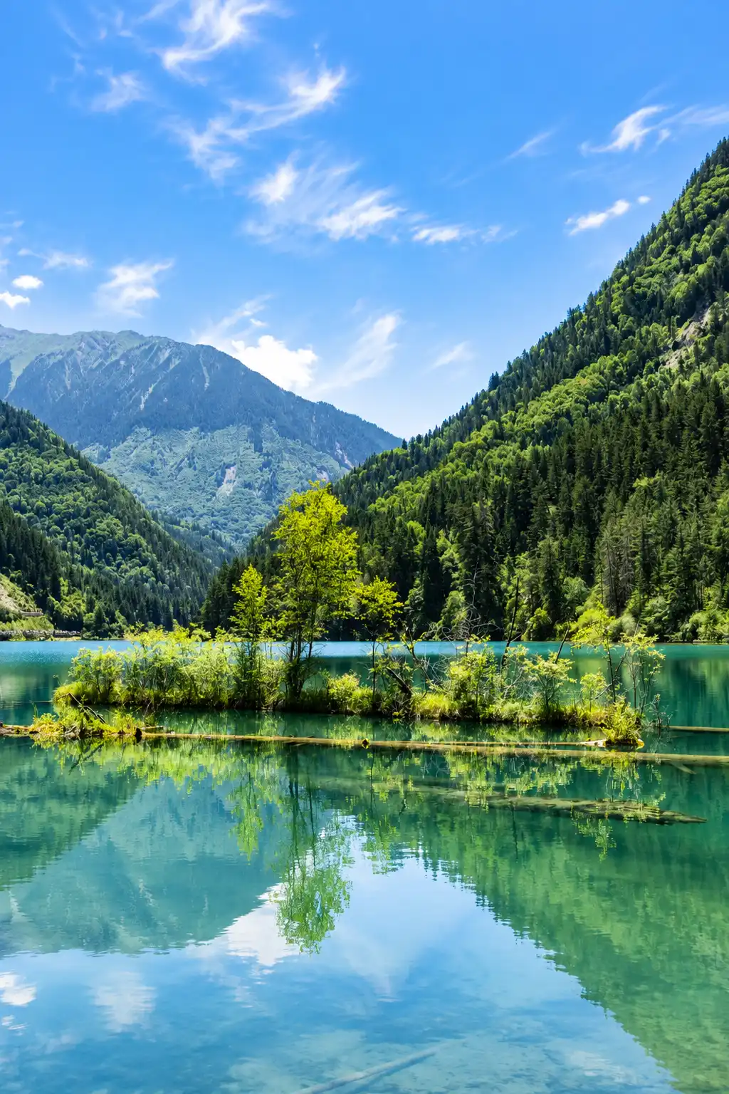Green summer forest and waterfall scenery in Jiuzhaigou