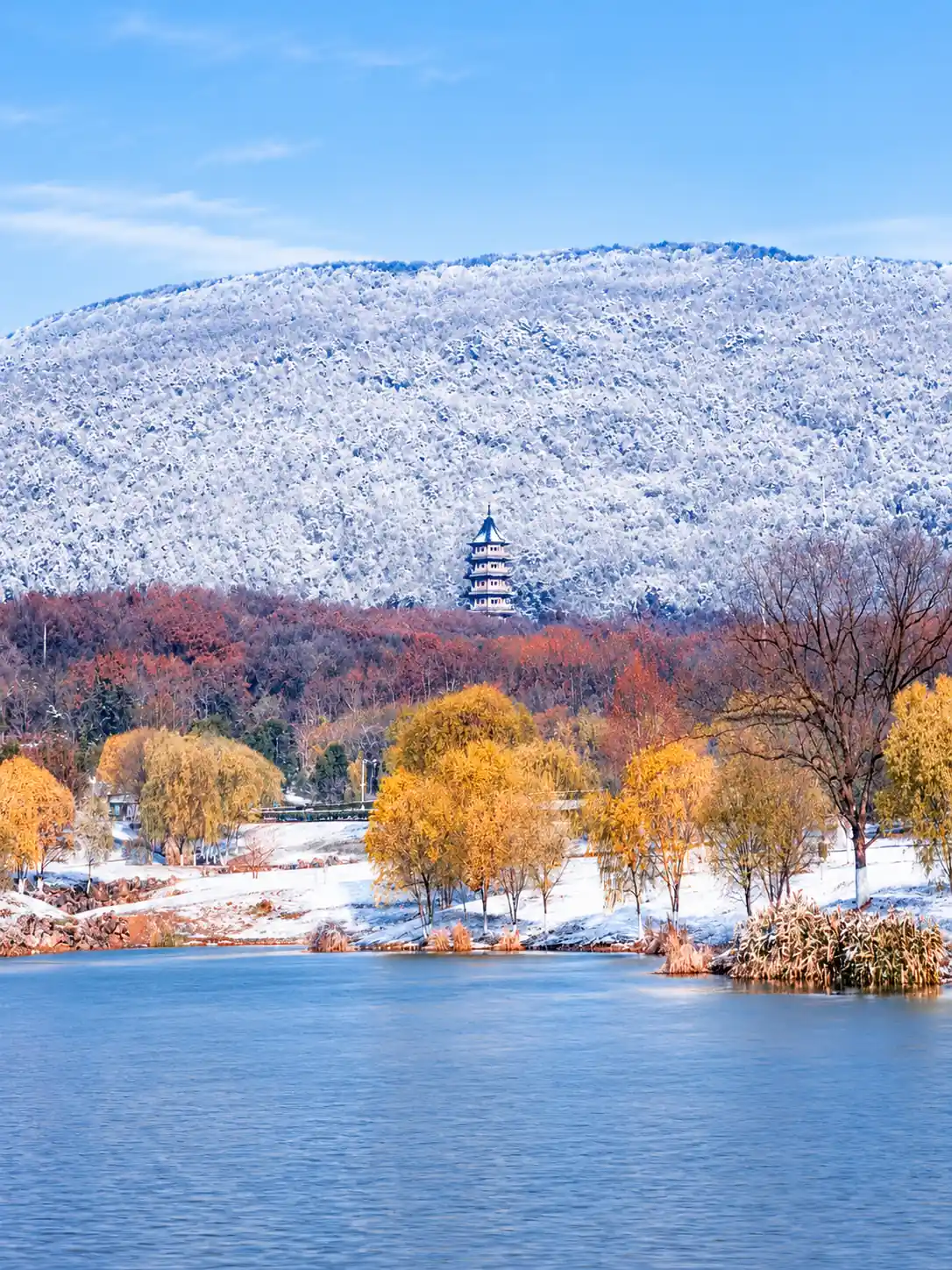 Winter scenery in Nanjing
