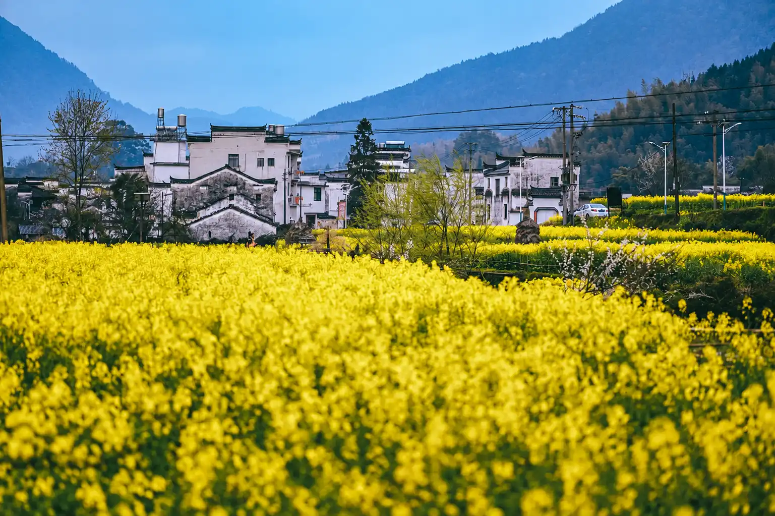 Huizhou-style villages and countryside in Wuyuan, Jiangxi