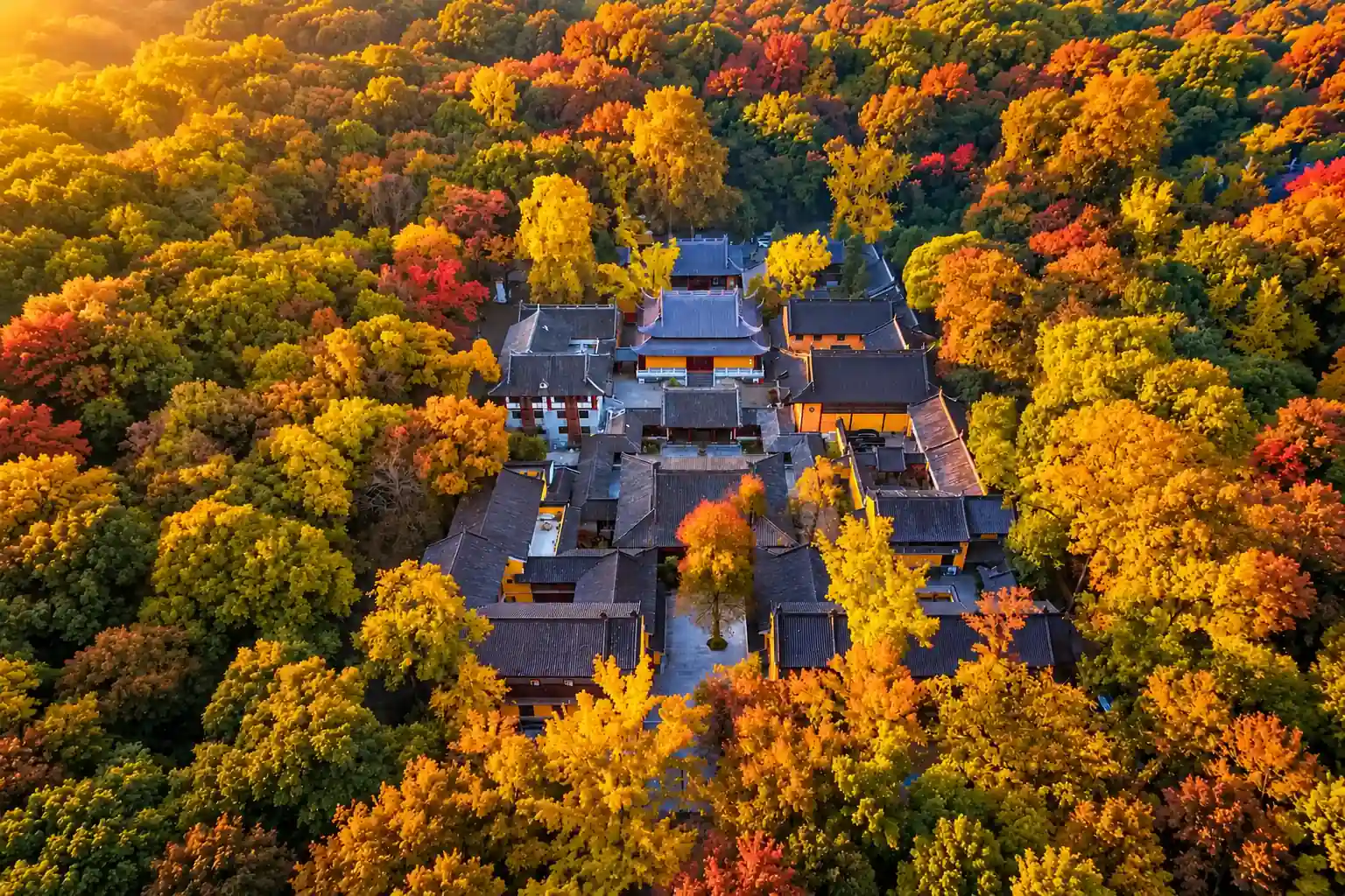 Tree-lined scenery and historic sites on Zhongshan Mountain in Nanjing